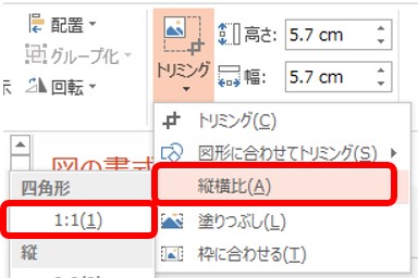 縦横比の固定